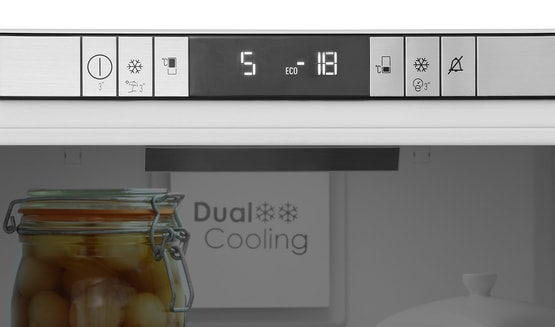 Electronic LED Display