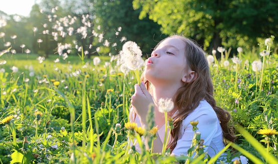 Anti-Allergy Wash & Dry Programme